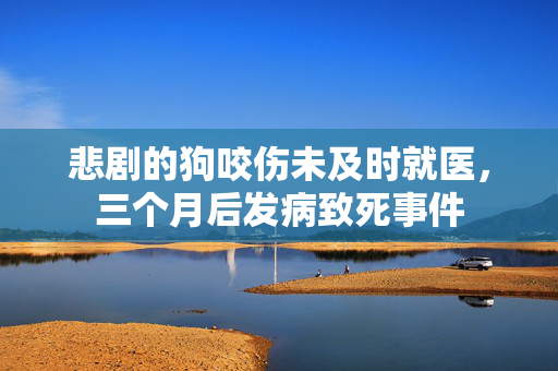 悲剧的狗咬伤未及时就医，三个月后发病致死事件