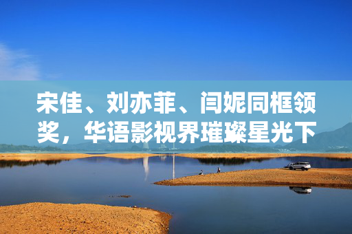 宋佳、刘亦菲、闫妮同框领奖，华语影视界璀璨星光下的盛景