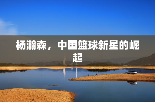 杨瀚森，中国篮球新星的崛起