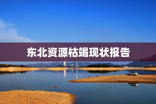 东北资源枯竭现状报告