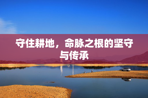守住耕地，命脉之根的坚守与传承