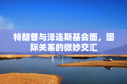 特朗普与泽连斯基会面，国际关系的微妙交汇