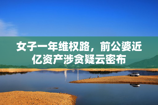 女子一年维权路，前公婆近亿资产涉贪疑云密布