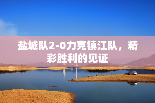 盐城队2-0力克镇江队，精彩胜利的见证