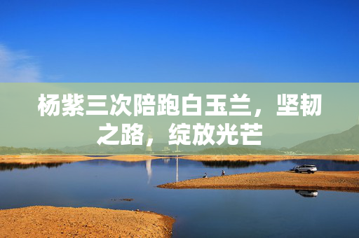 杨紫三次陪跑白玉兰，坚韧之路，绽放光芒