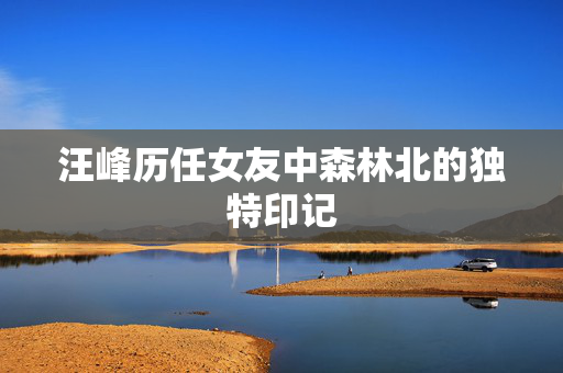 汪峰历任女友中森林北的独特印记