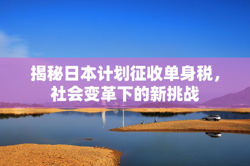 揭秘日本计划征收单身税，社会变革下的新挑战