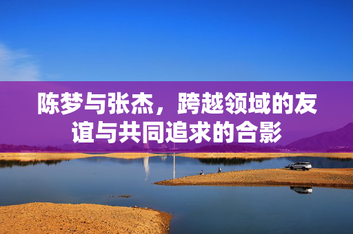陈梦与张杰，跨越领域的友谊与共同追求的合影