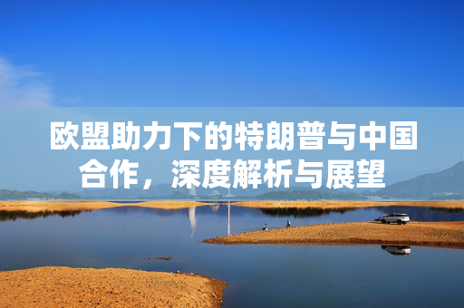 欧盟助力下的特朗普与中国合作，深度解析与展望