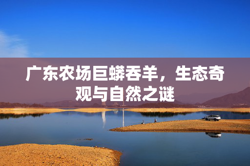 广东农场巨蟒吞羊，生态奇观与自然之谜