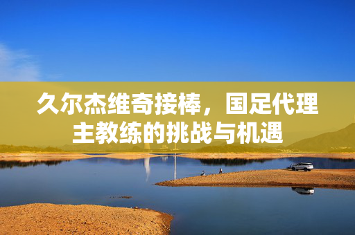 久尔杰维奇接棒，国足代理主教练的挑战与机遇
