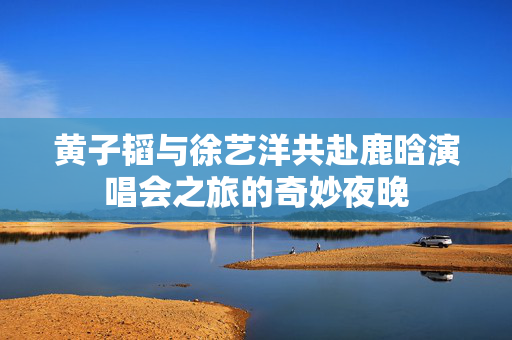 黄子韬与徐艺洋共赴鹿晗演唱会之旅的奇妙夜晚