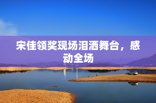 宋佳领奖现场泪洒舞台，感动全场