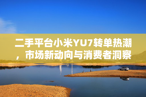 二手平台小米YU7转单热潮，市场新动向与消费者洞察分析