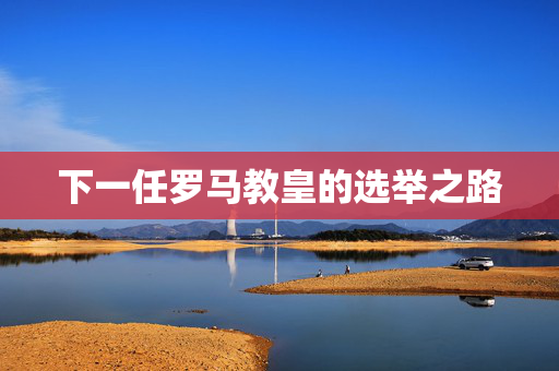 下一任罗马教皇的选举之路
