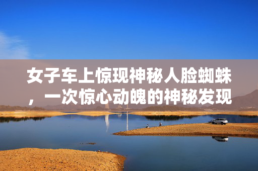 女子车上惊现神秘人脸蜘蛛，一次惊心动魄的神秘发现