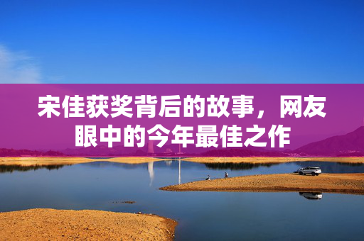 宋佳获奖背后的故事，网友眼中的今年最佳之作