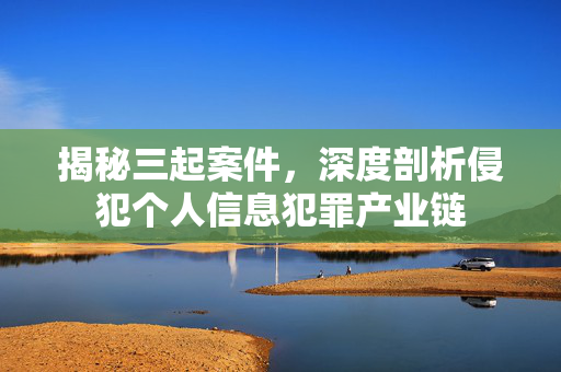 揭秘三起案件，深度剖析侵犯个人信息犯罪产业链