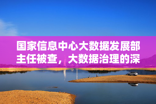 国家信息中心大数据发展部主任被查，大数据治理的深度反思与未来展望