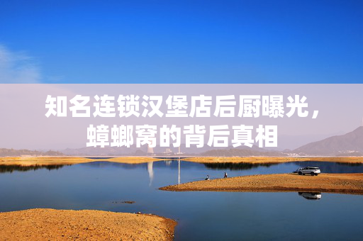 知名连锁汉堡店后厨曝光，蟑螂窝的背后真相
