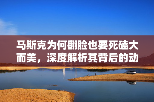 马斯克为何翻脸也要死磕大而美，深度解析其背后的动机与战略考量