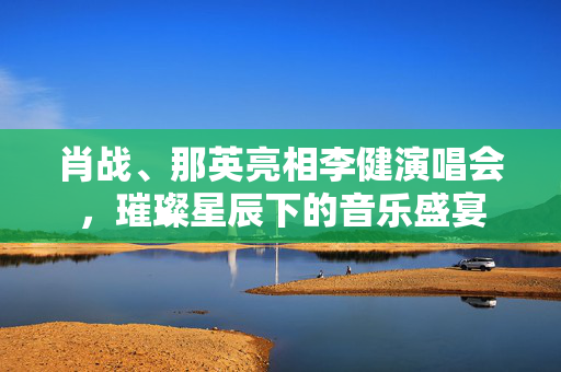 肖战、那英亮相李健演唱会，璀璨星辰下的音乐盛宴