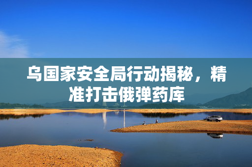 乌国家安全局行动揭秘，精准打击俄弹药库