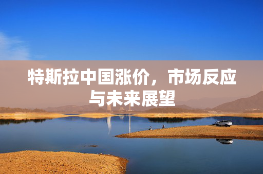 特斯拉中国涨价，市场反应与未来展望