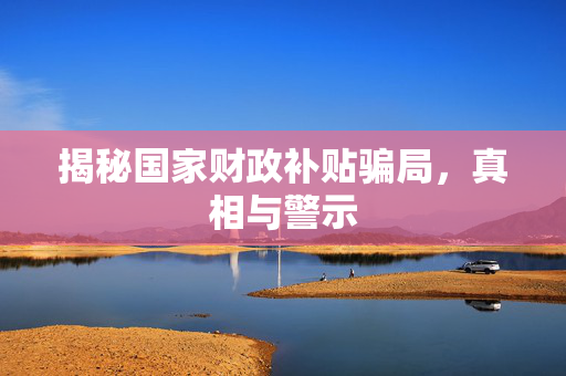 揭秘国家财政补贴骗局，真相与警示
