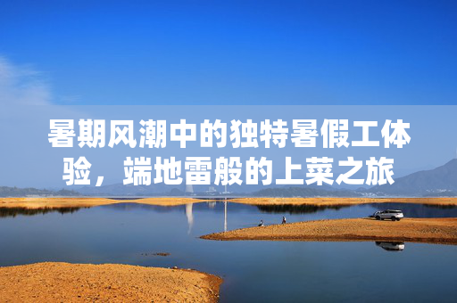 暑期风潮中的独特暑假工体验，端地雷般的上菜之旅