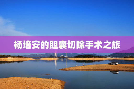 杨培安的胆囊切除手术之旅