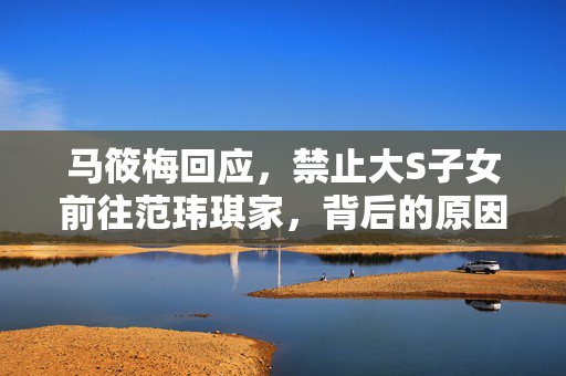 马筱梅回应，禁止大S子女前往范玮琪家，背后的原因与考量