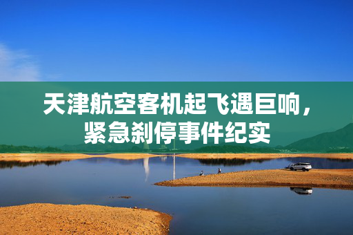 天津航空客机起飞遇巨响，紧急刹停事件纪实