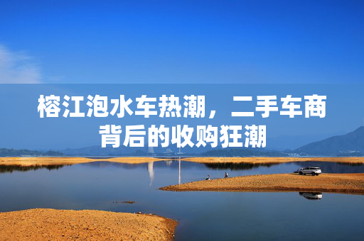 榕江泡水车热潮，二手车商背后的收购狂潮