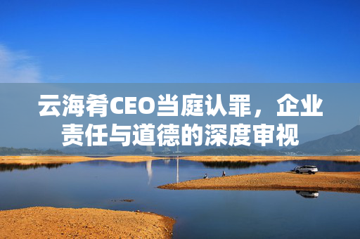 云海肴CEO当庭认罪，企业责任与道德的深度审视
