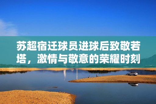 苏超宿迁球员进球后致敬若塔，激情与敬意的荣耀时刻
