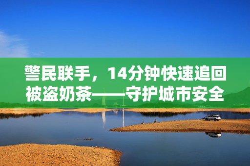 警民联手，14分钟快速追回被盗奶茶——守护城市安全行动记