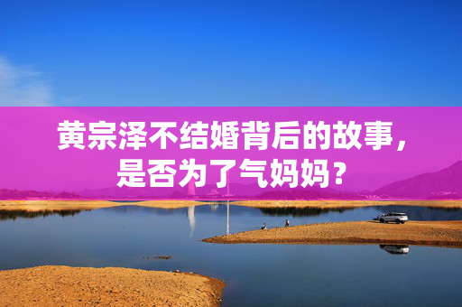 黄宗泽不结婚背后的故事，是否为了气妈妈？