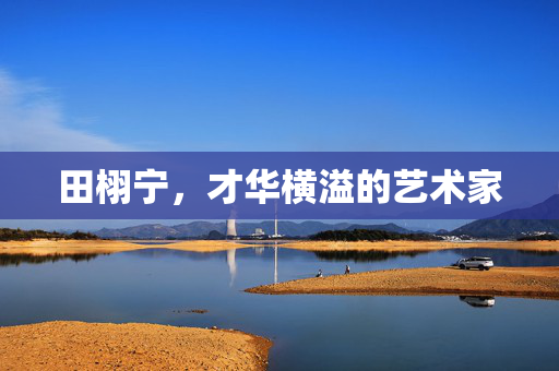 田栩宁，才华横溢的艺术家