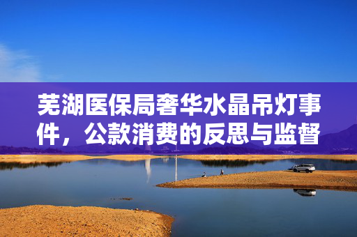 芜湖医保局奢华水晶吊灯事件，公款消费的反思与监督