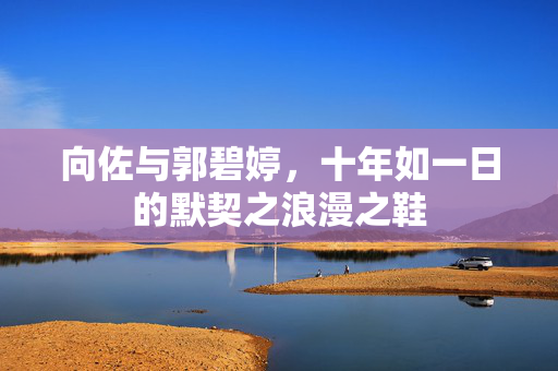 向佐与郭碧婷，十年如一日的默契之浪漫之鞋