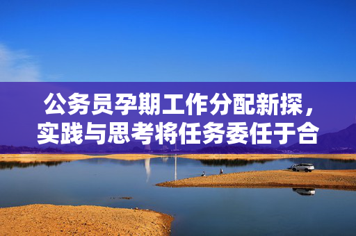 公务员孕期工作分配新探，实践与思考将任务委任于合同工的可行性分析