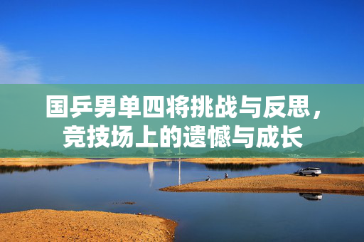 国乒男单四将挑战与反思，竞技场上的遗憾与成长