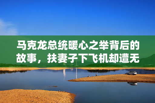 马克龙总统暖心之举背后的故事，扶妻子下飞机却遭无视的瞬间