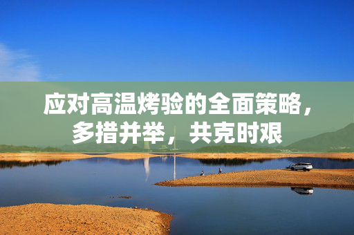 应对高温烤验的全面策略，多措并举，共克时艰