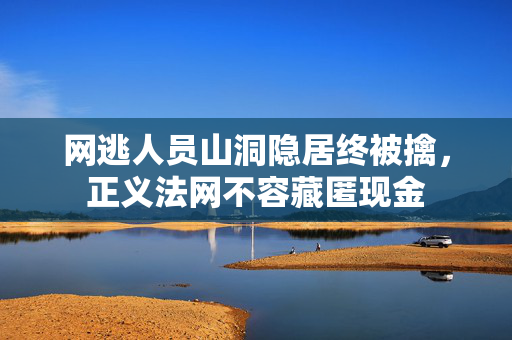 网逃人员山洞隐居终被擒，正义法网不容藏匿现金