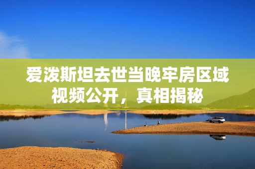 爱泼斯坦去世当晚牢房区域视频公开，真相揭秘