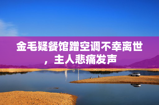 金毛疑餐馆蹭空调不幸离世，主人悲痛发声