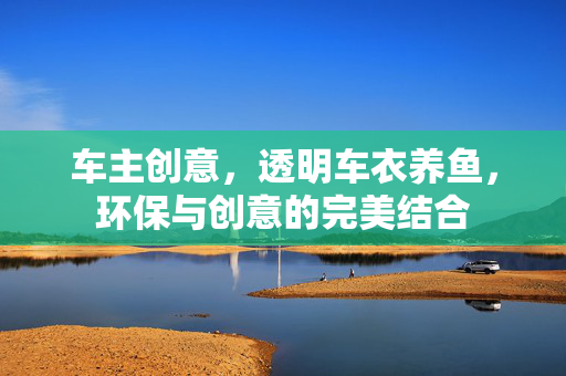 车主创意，透明车衣养鱼，环保与创意的完美结合