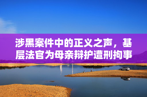 涉黑案件中的正义之声，基层法官为母亲辩护遭刑拘事件深度解析